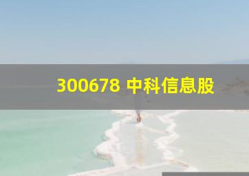 300678 中科信息股